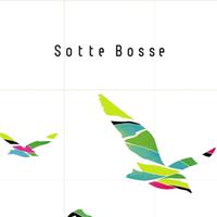 Sotte Bosse资料,Sotte Bosse最新歌曲,Sotte BosseMV视频,Sotte Bosse音乐专辑,Sotte Bosse好听的歌