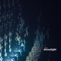 moonlight