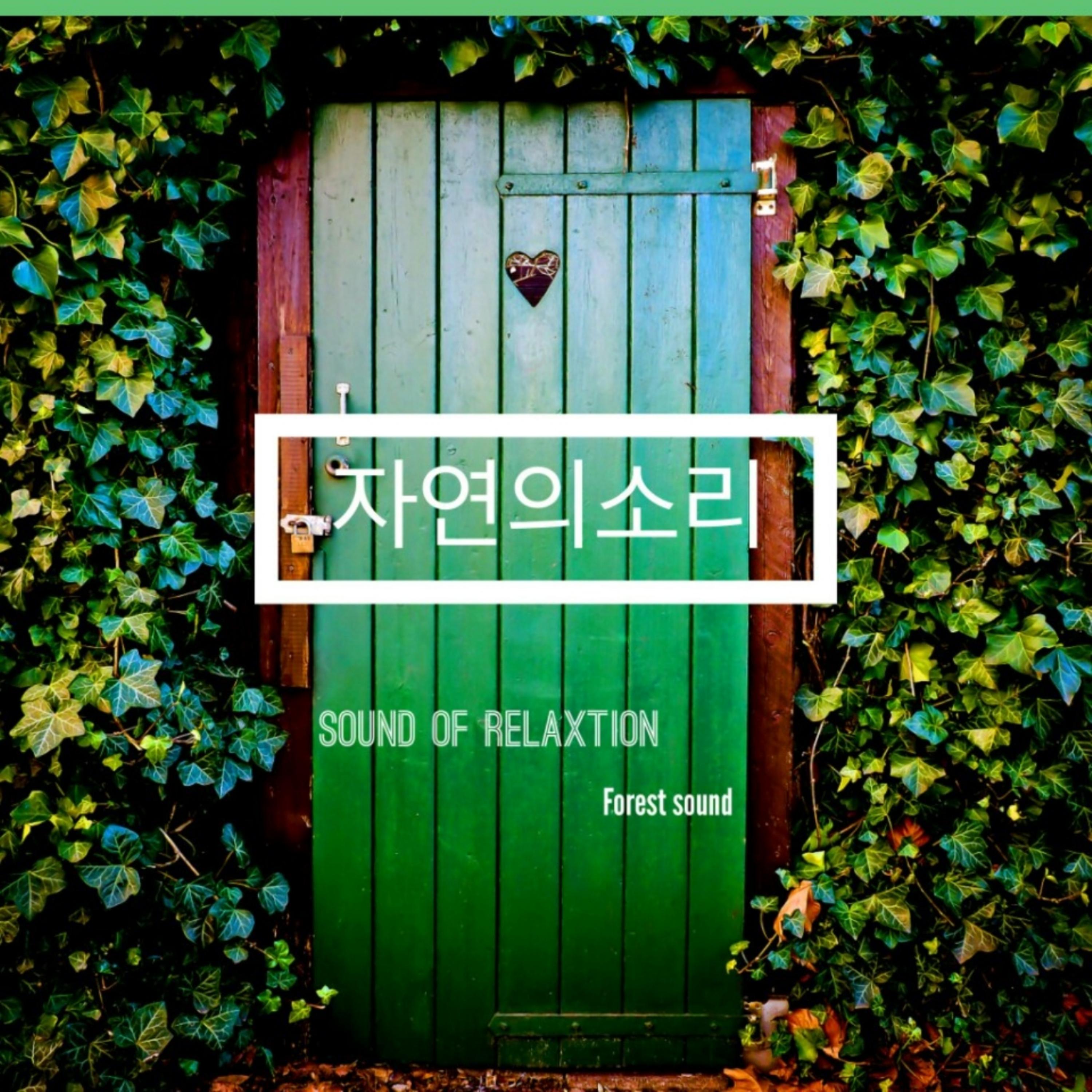 숙면을 위한 밤 바다 파도소리