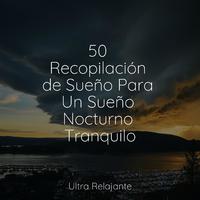 50 Recopilación de Sueño Para Un Sueño Nocturno Tranquilo