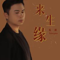 来生缘(新版)