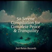 50 Serene Compilation for Complete Peace & Tranquility