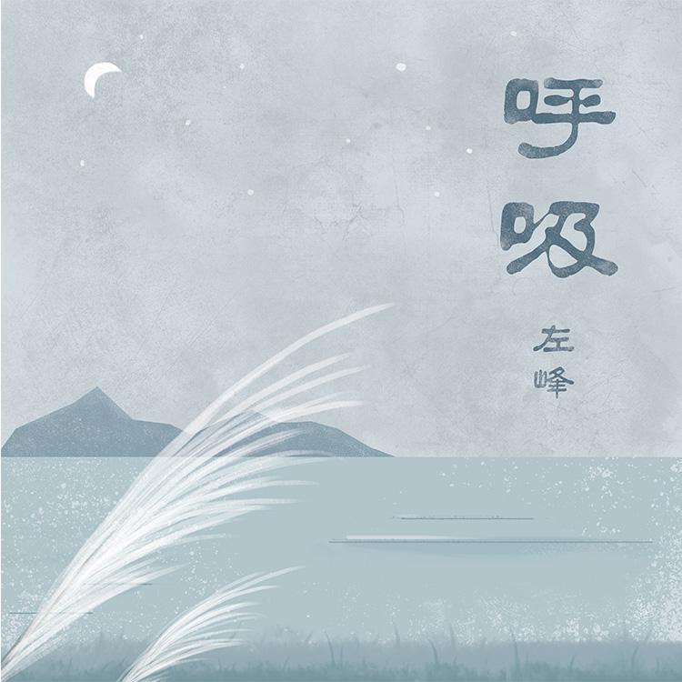 偶然 - 左峰封面