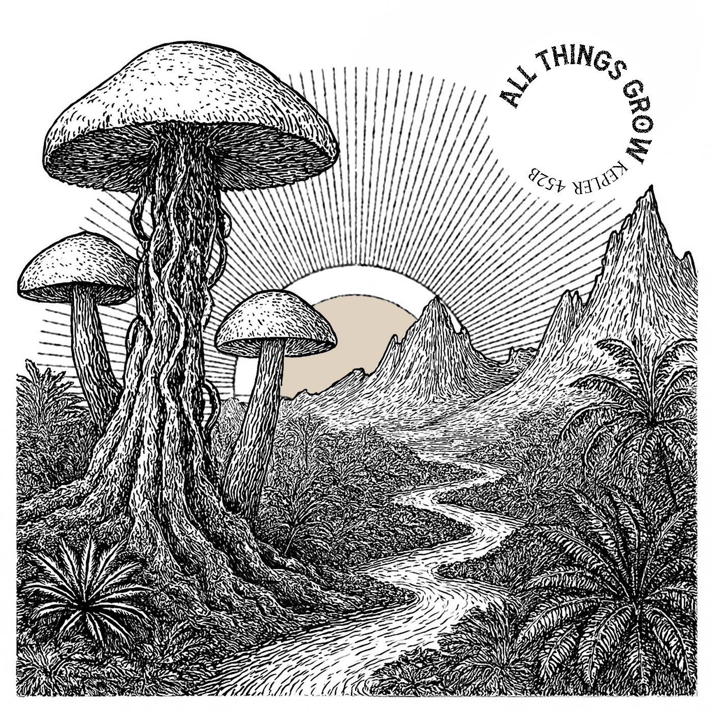 All things grow_Empty17_Kepler 452b Ⅲ | 在线播放_All things grow歌词_All things grow下载 | 网易云音乐