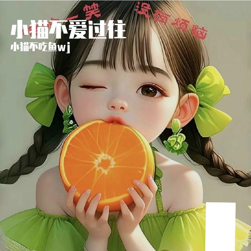 疾驰路程封面