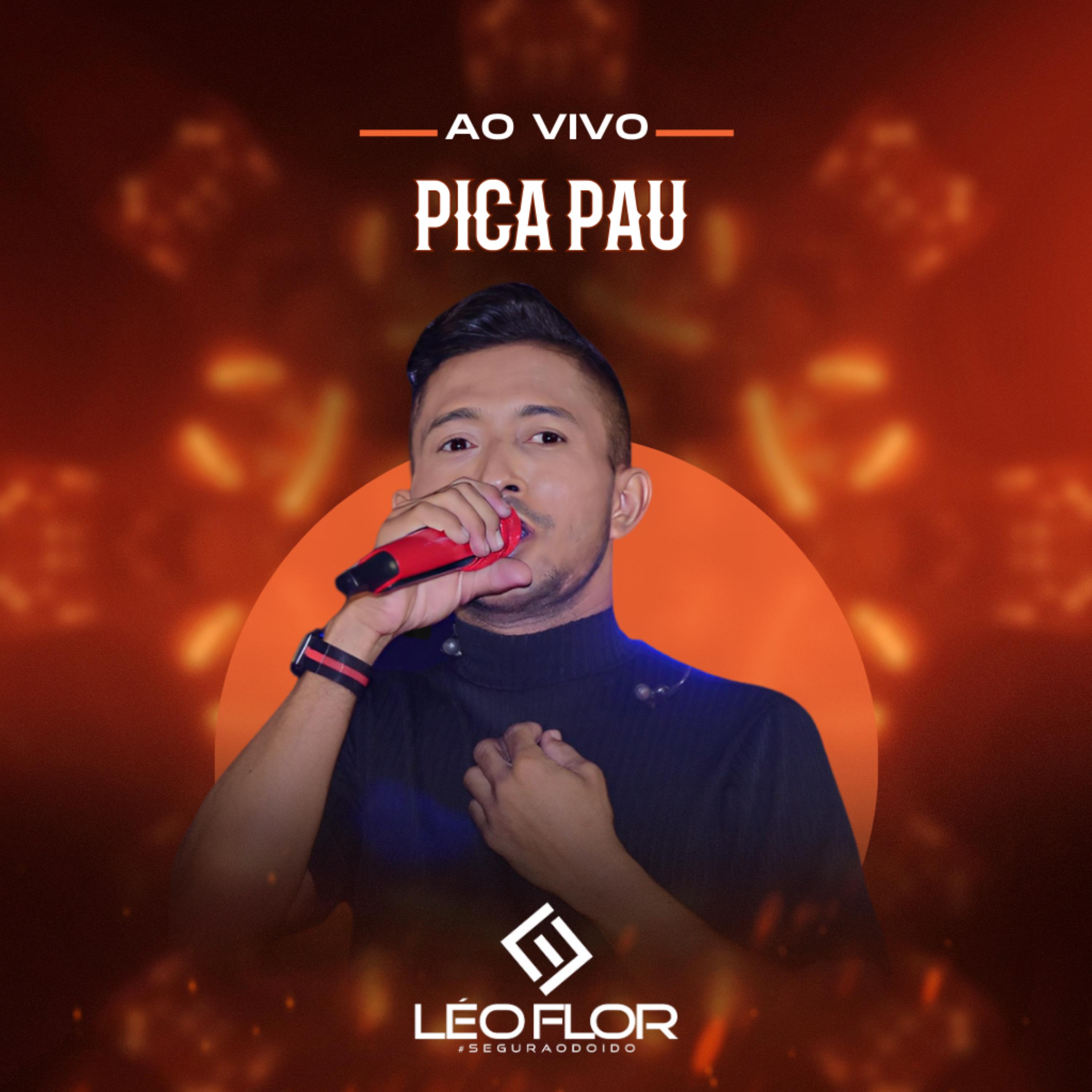 Pica Pau (Ao Vivo)