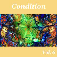 Condition, Vol. 6