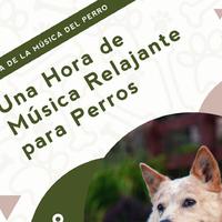 Música Calmante para Cachorros