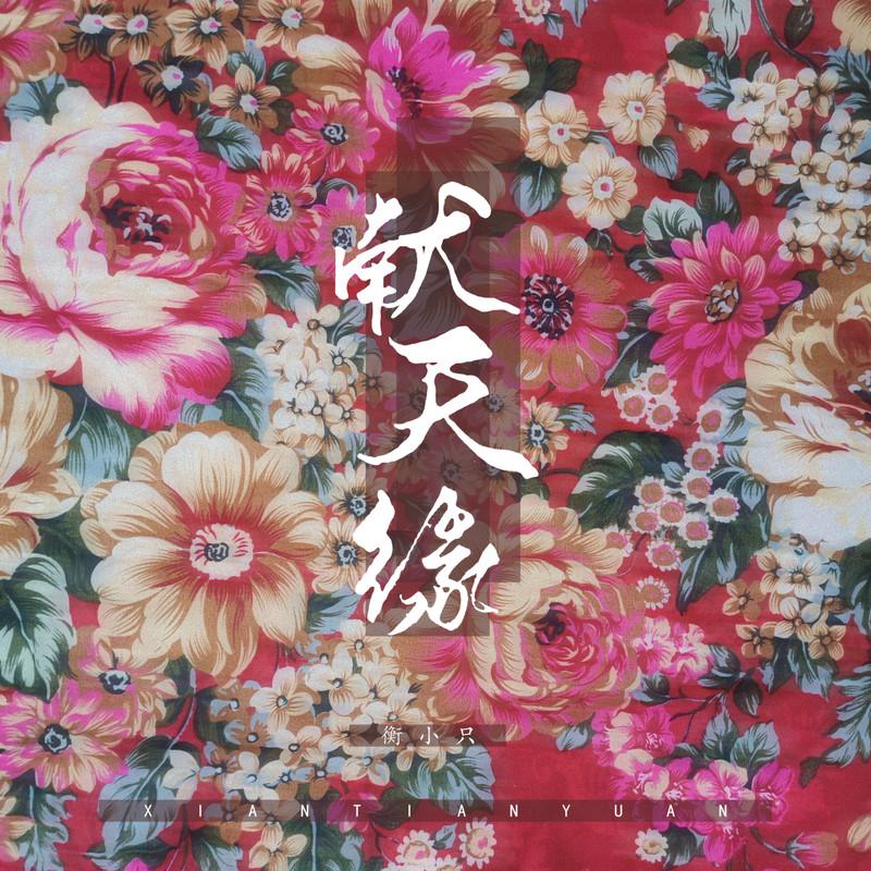 献天缘(DJ版)封面