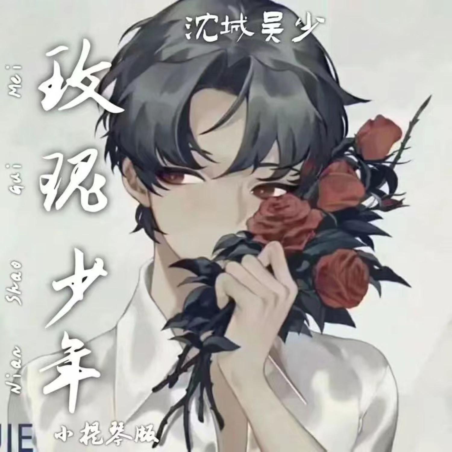 玫瑰少年 (小提琴原版) - 沈城吴少封面