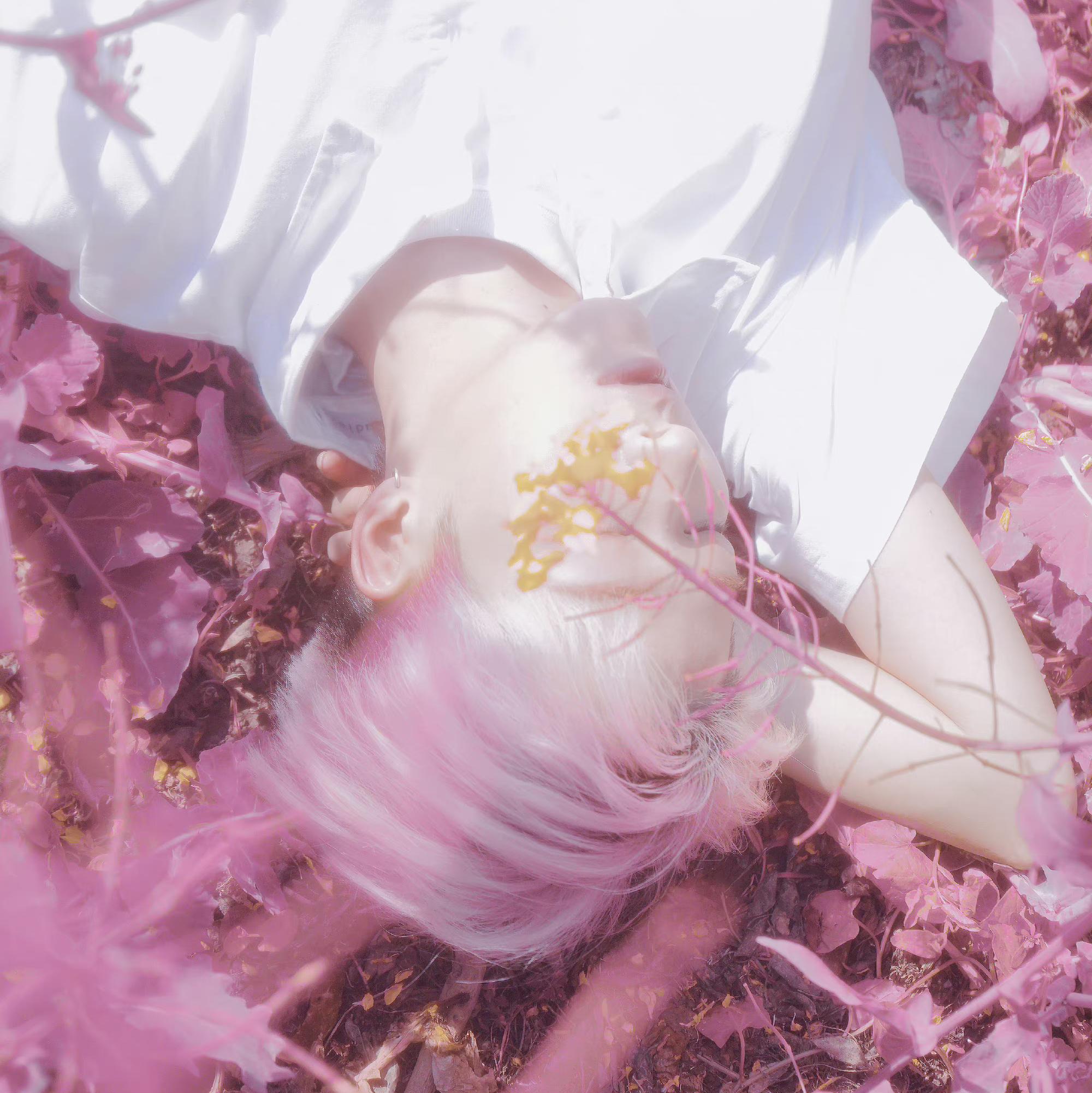 Brayan Diaz-Baby I'm Sorry.m4a(张小源Coca / V也 remix)封面