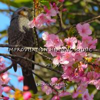 Improvisation Healing Music Vol.59