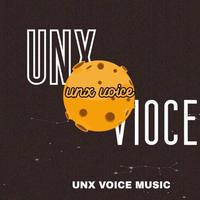 UNX-VOICE