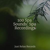 100 Spa Sounds: Spa Recordings