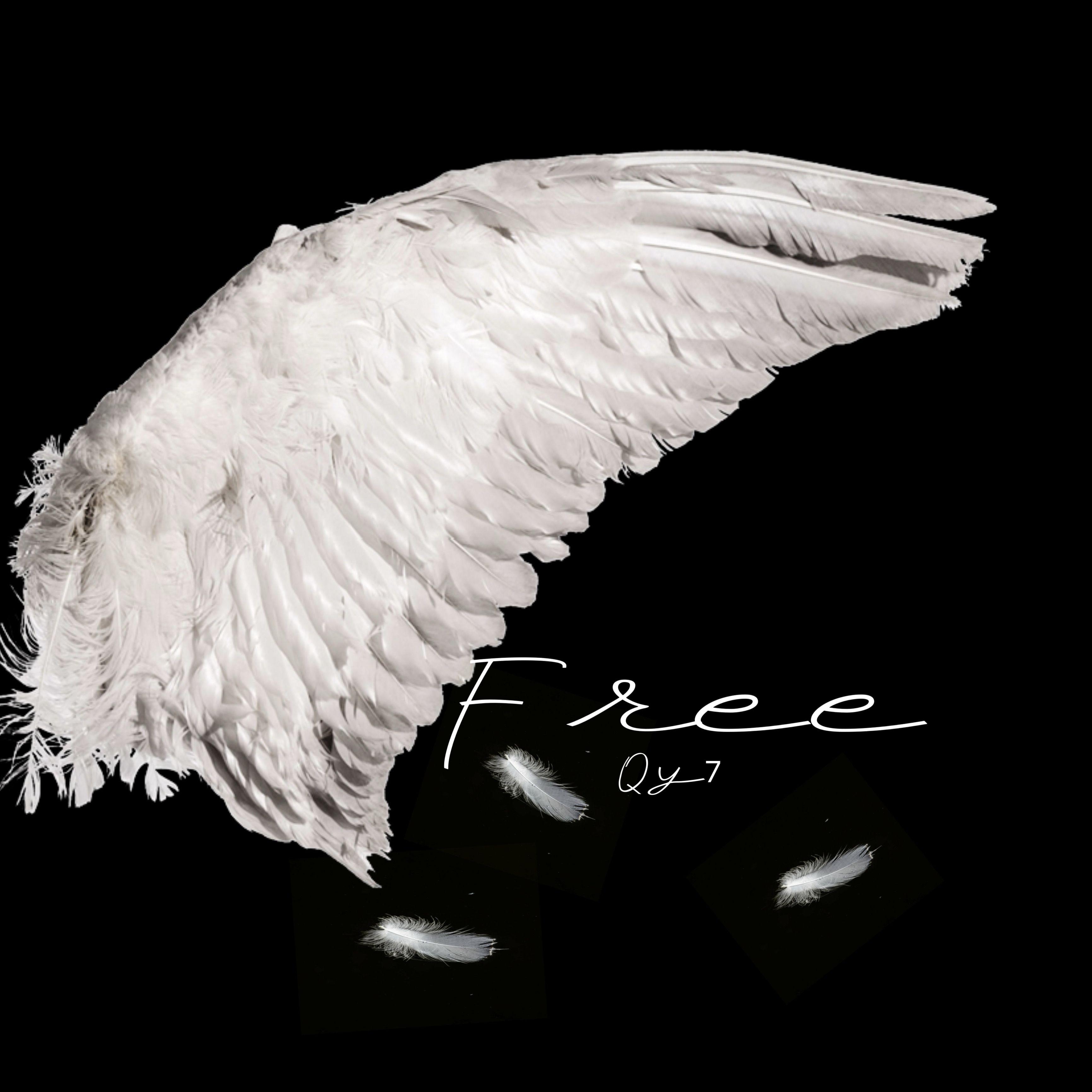 Free封面