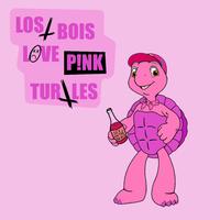 Lost Bois Love Pink Turtles