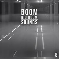 Boom, Vol. 8 - Big Room Sounds