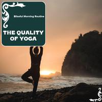 The Quality Of Yoga - Blissful Morning Routine