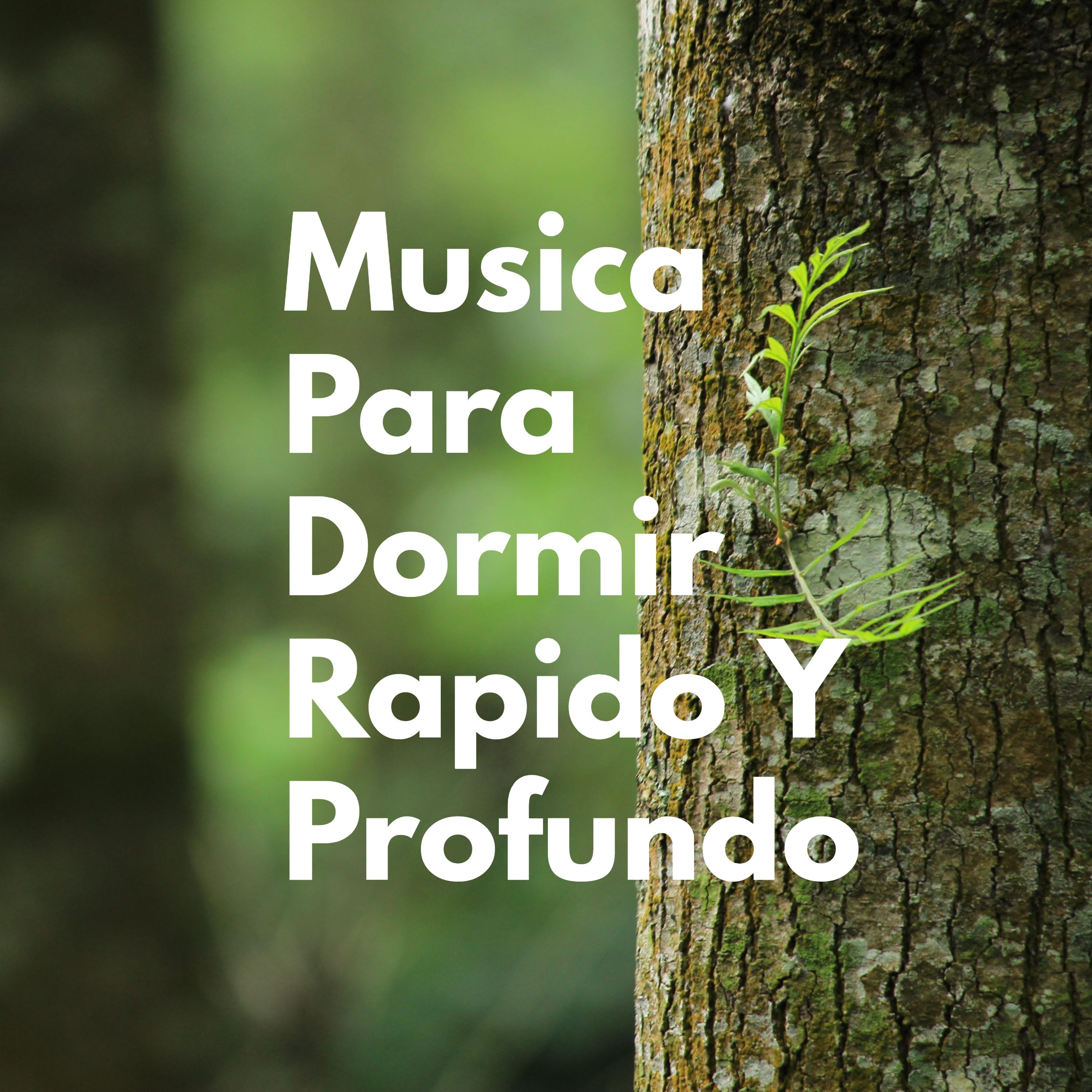 Musica ParaDormir Rapido Y Profundo