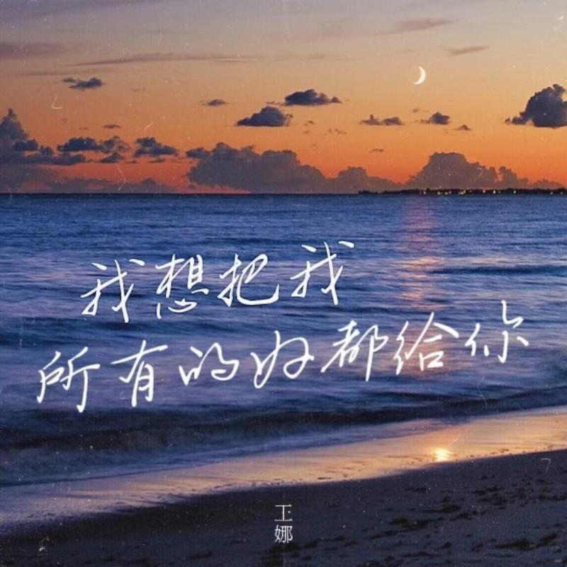 我想把我所有的好都给你 (DJ光波版) - 王娜封面