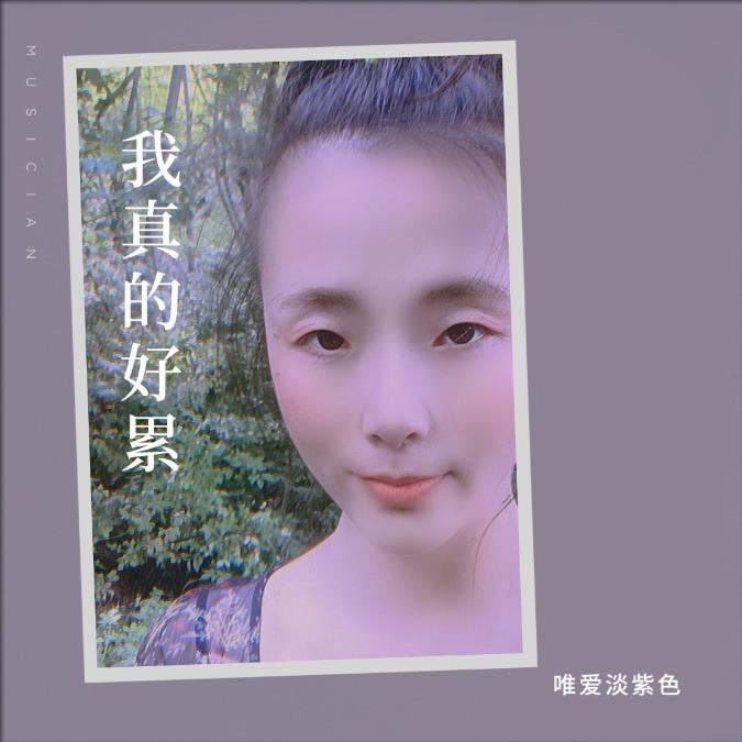 飞越迷雾封面