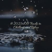 #2025 100 Tracks to Chillout and Relax