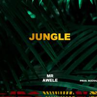 Mr. Awele