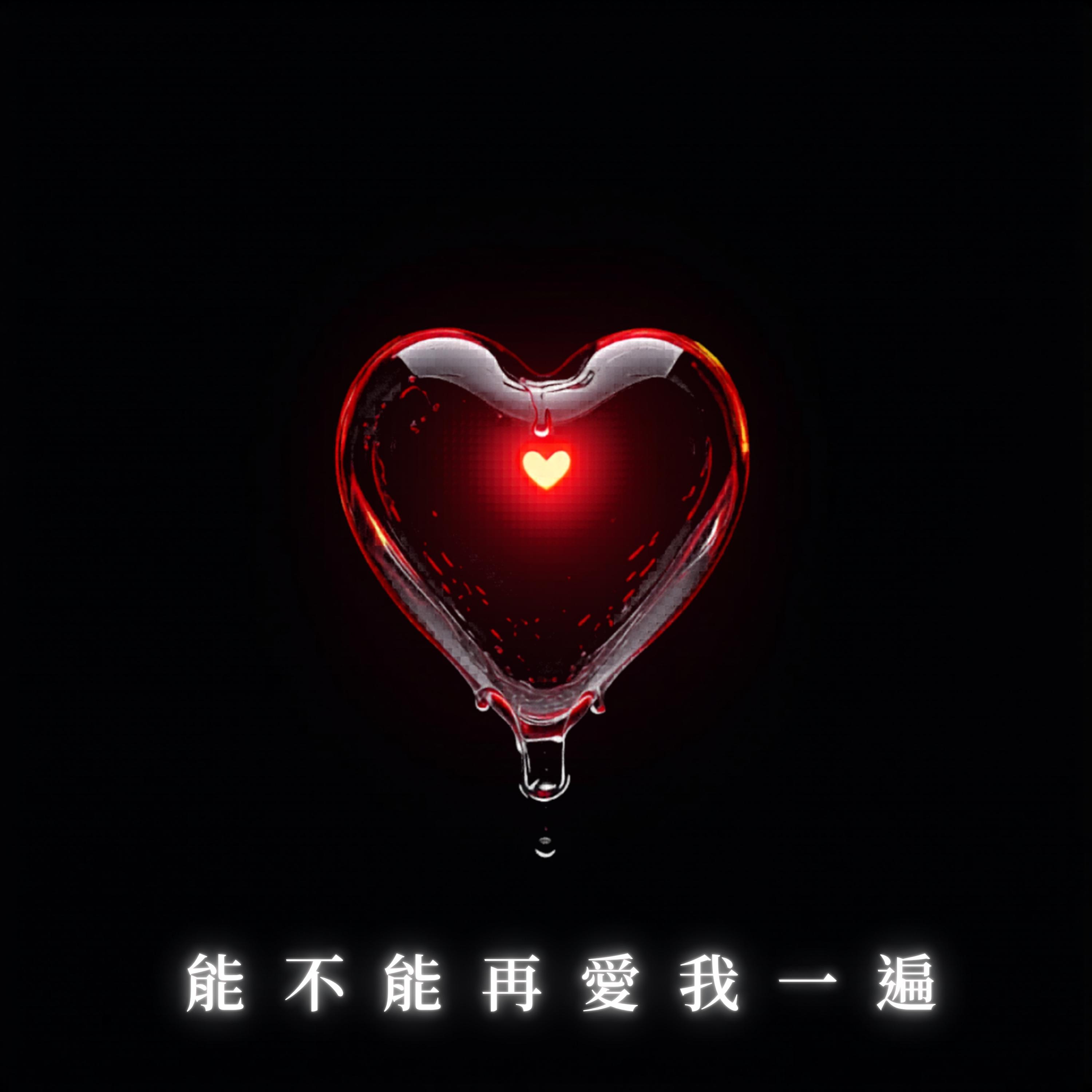 能不能再愛我一遍封面