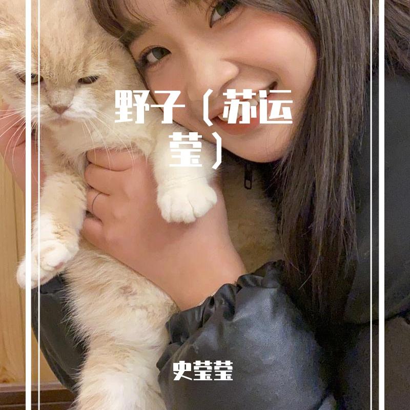 野子(苏运莹)封面