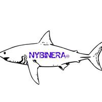 49NYBINERA