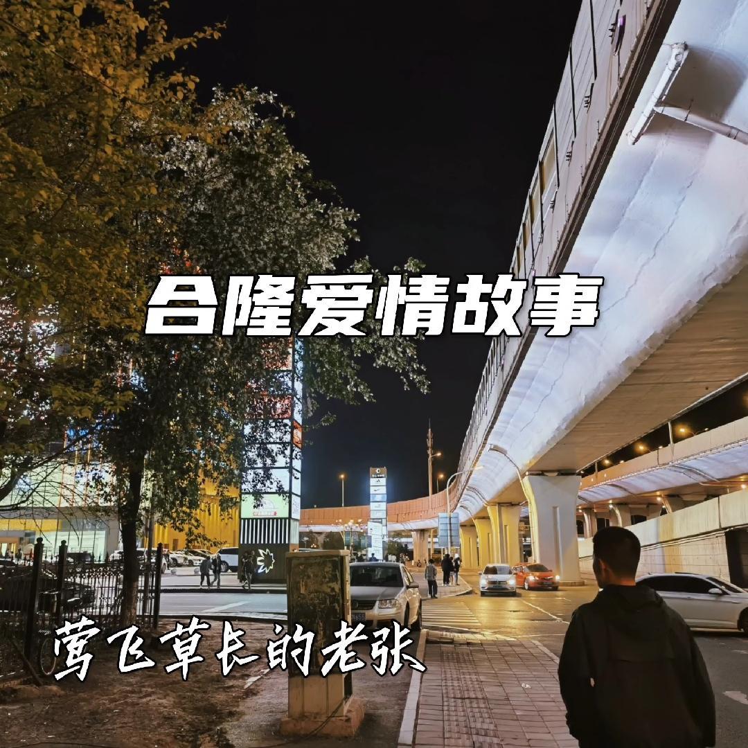 合隆爱情故事_莺飞草长的老张_合隆爱情故事 | 在线播放_合隆爱情故事歌词_合隆爱情故事下载 | 网易云音乐