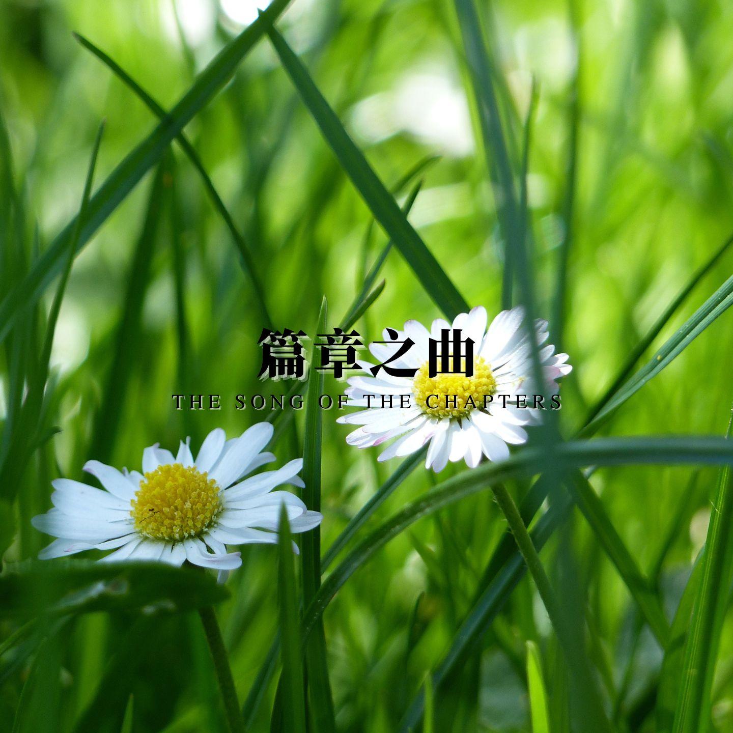 笔触 (沉浸式学习)封面