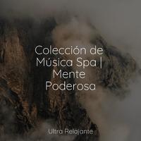 Colección de Música Spa | Mente Poderosa