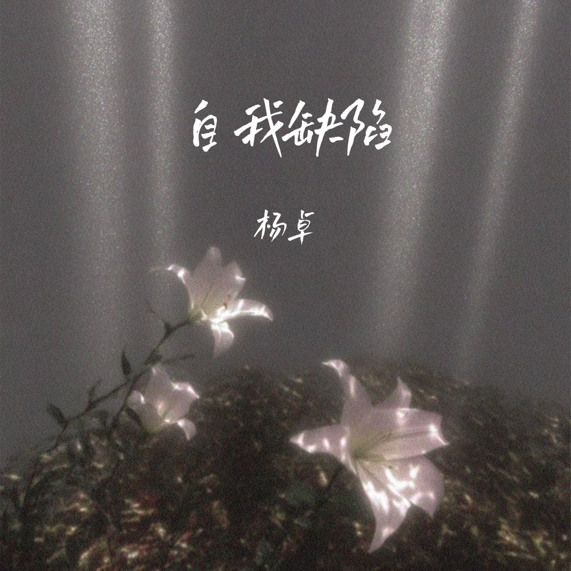 自我缺陷（伴奏） - 杨卓封面