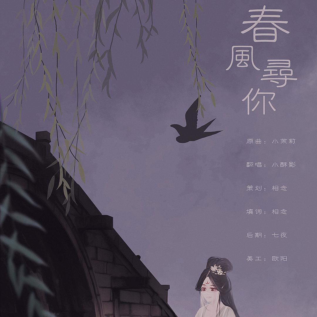 春风寻你封面