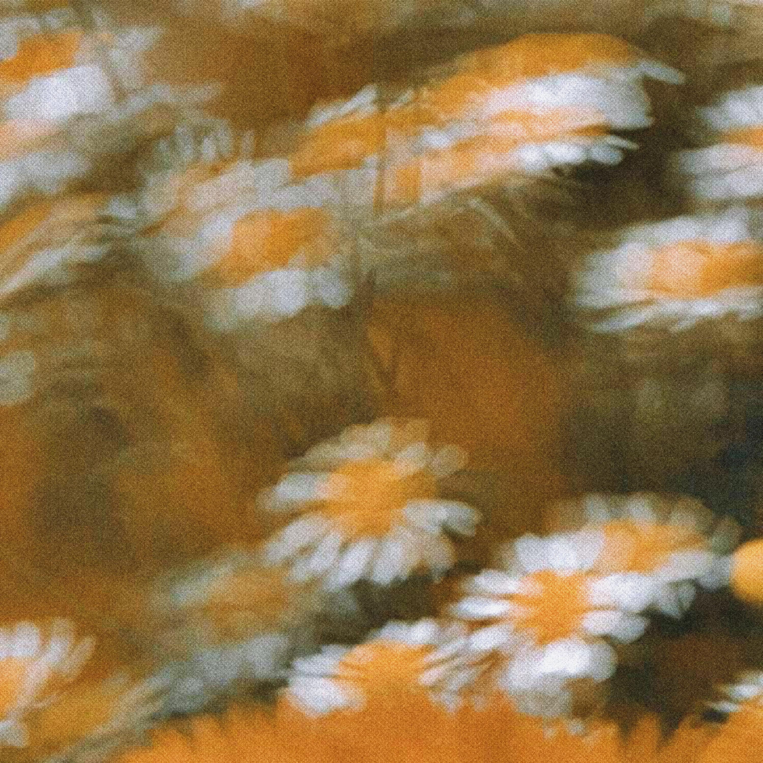 Same Days (Feat. Chan)