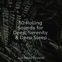 50 Rolling Sounds for Deep, Serenity & Deep Sleep