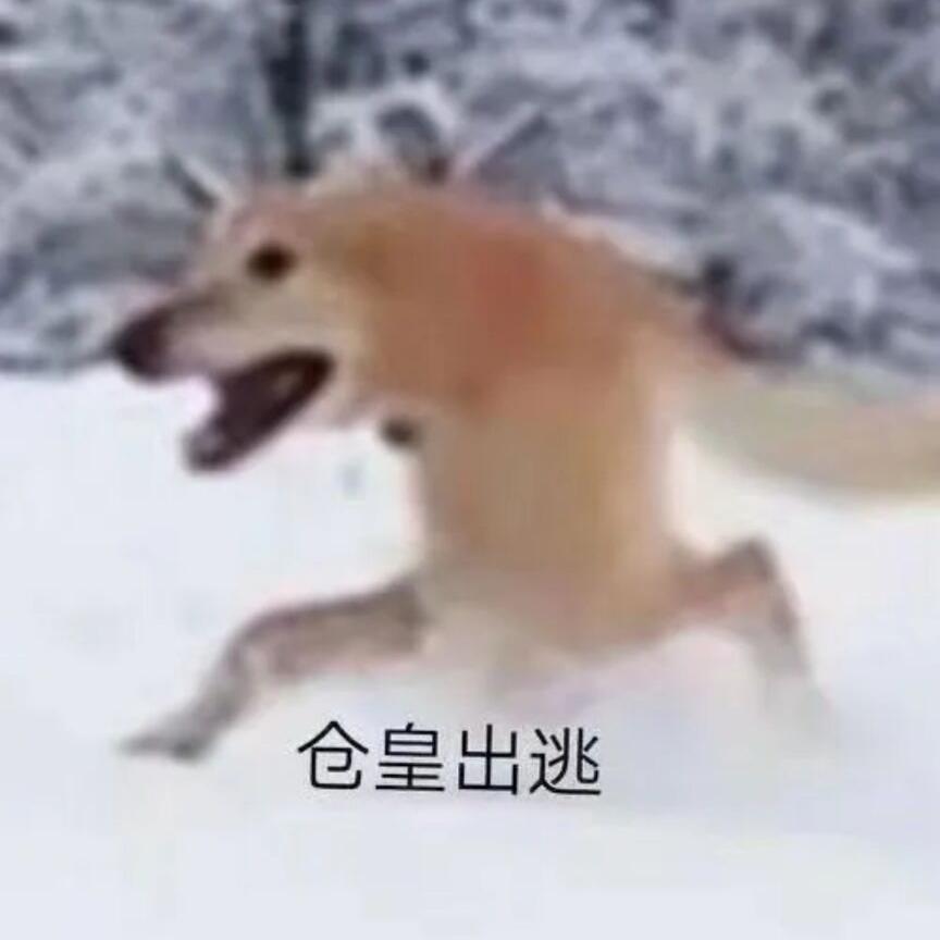 晚夜微雨问海棠(+千秋迭梦)