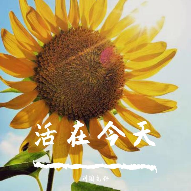 活在今天封面