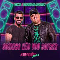 Sozinho Não Vou Sofrer (Ao Vivo)