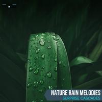 Nature Rain Melodies - Surprise Cascades