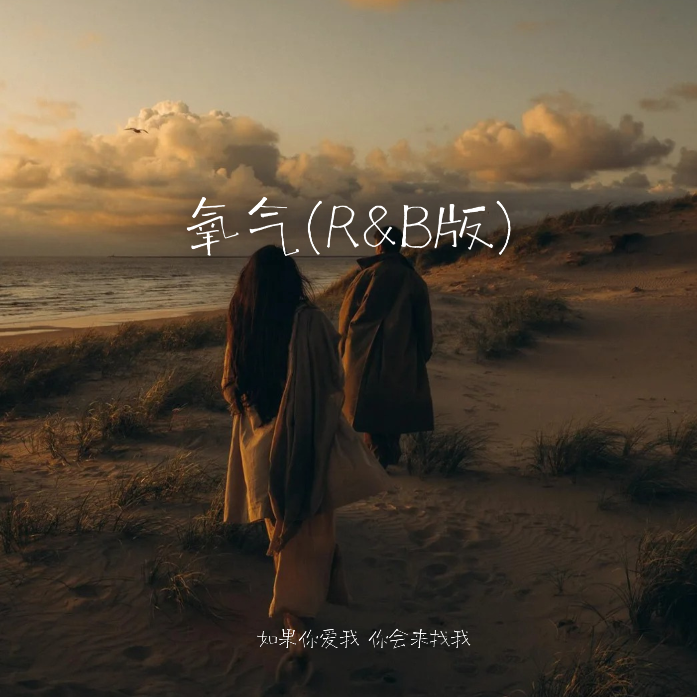 氧气(R&B版) - SHE栗子封面