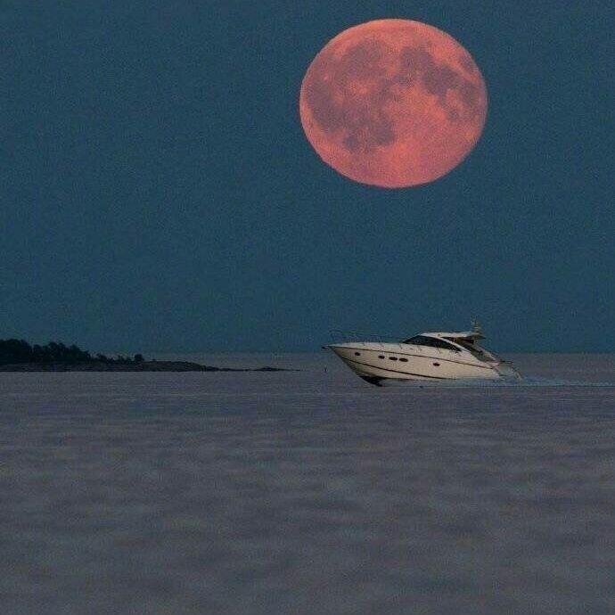 追2（翻自 陈壹千）