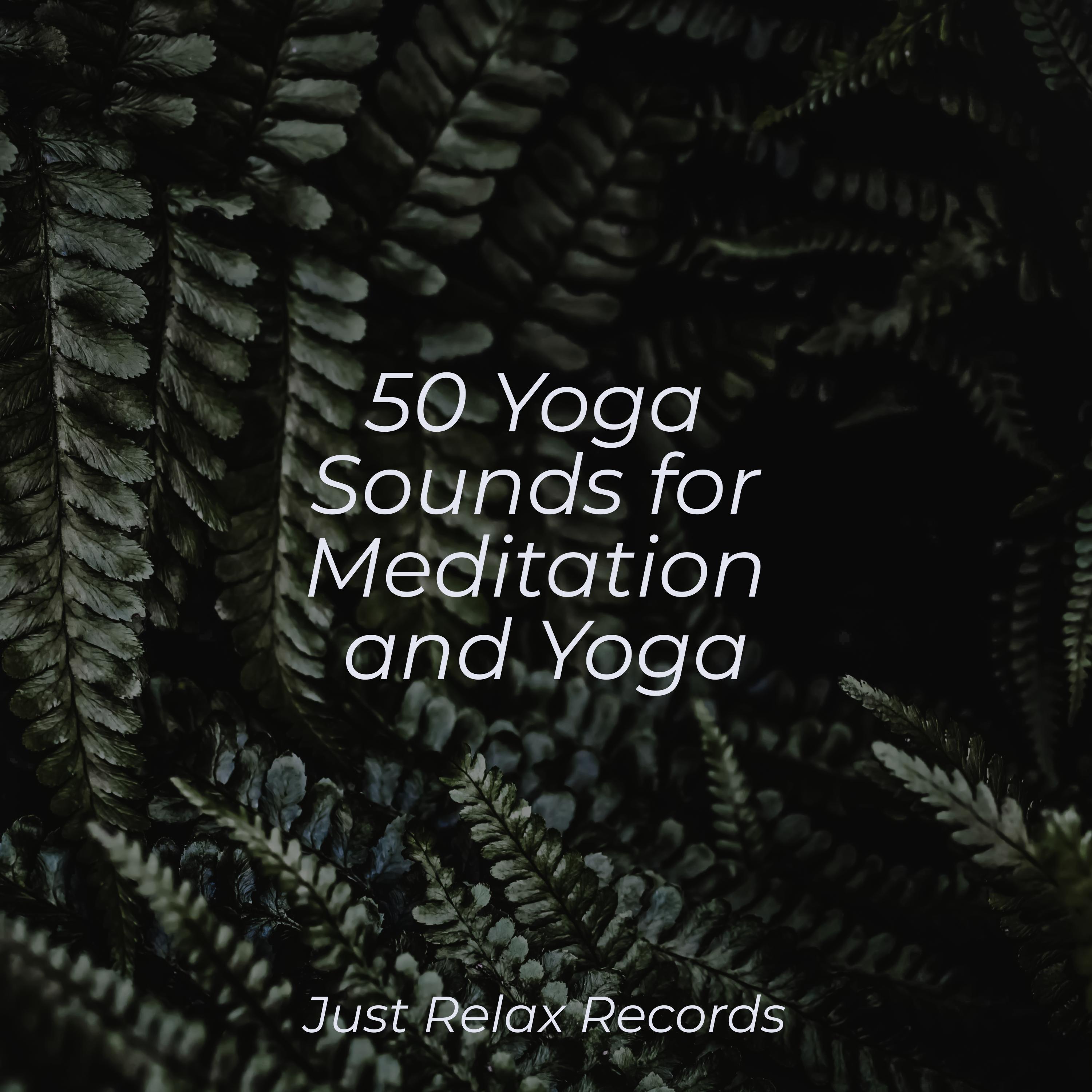 Shimmering Enchantment Schlaflieder Für Kinder/Baby Songs & Lullabies