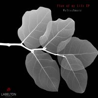 Flow of My Life EP