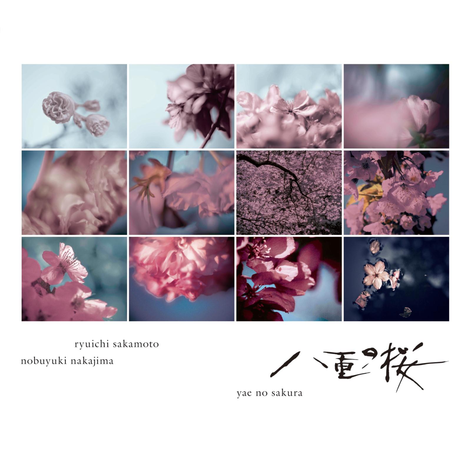 なぜそのように生きることが出来ないのか封面