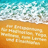 Meeresrauschen Sounds Arno Holmberg