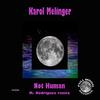 Karol Melinger - Not Human (M. Rodriguez Remix)