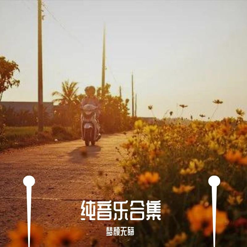 孙燕姿-遇见 钢琴曲（梦颜无殇 remix）