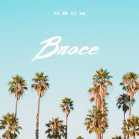 Brace